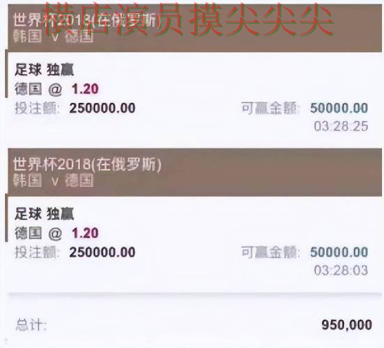 世界杯投注平台合集盘点分析报告：数据分析与实际体验总结 - 世界杯数据